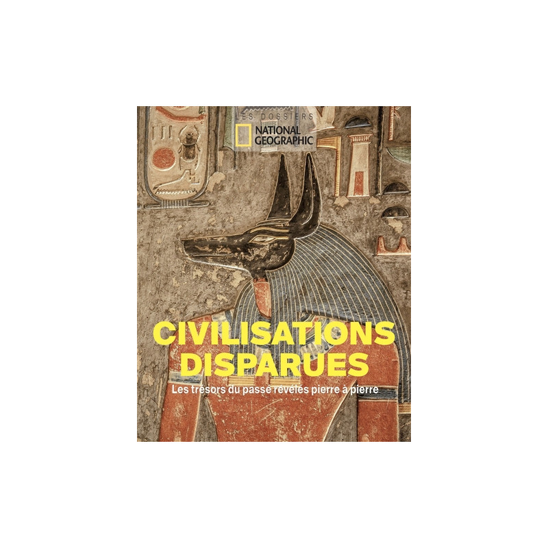 Civilisations disparues : les trésors du passé révélés pierre à pierre