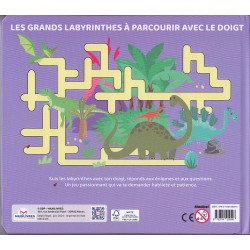 Le grand labyrinthe Au temps des dinosaures - 9782754229593