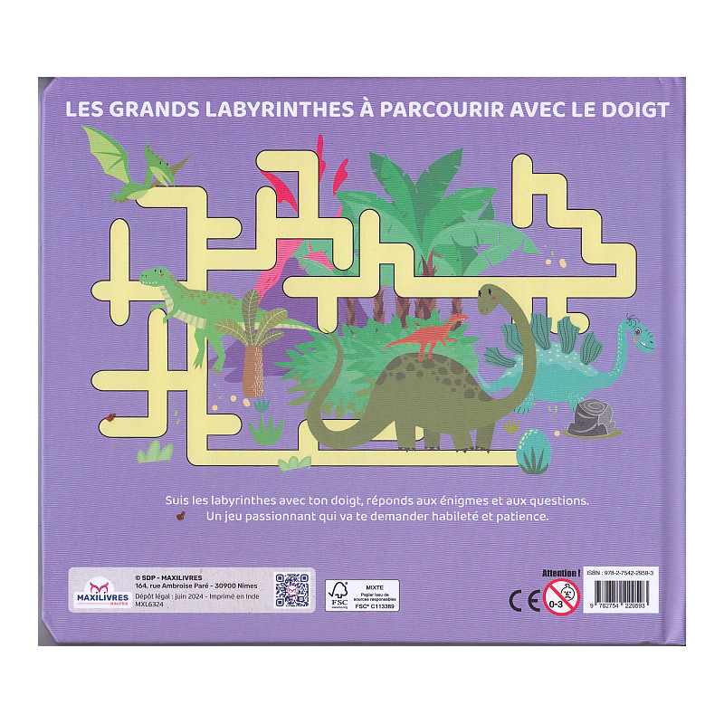 Le grand labyrinthe Au temps des dinosaures - 9782754229593