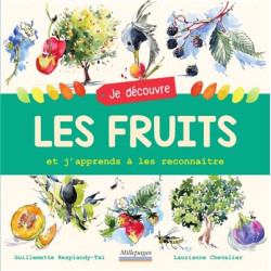 Je découvre les fruits : et j'apprends à les reconnaître