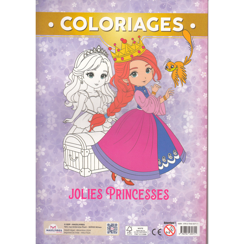 Coloriage jolies princesses - 9782754230711