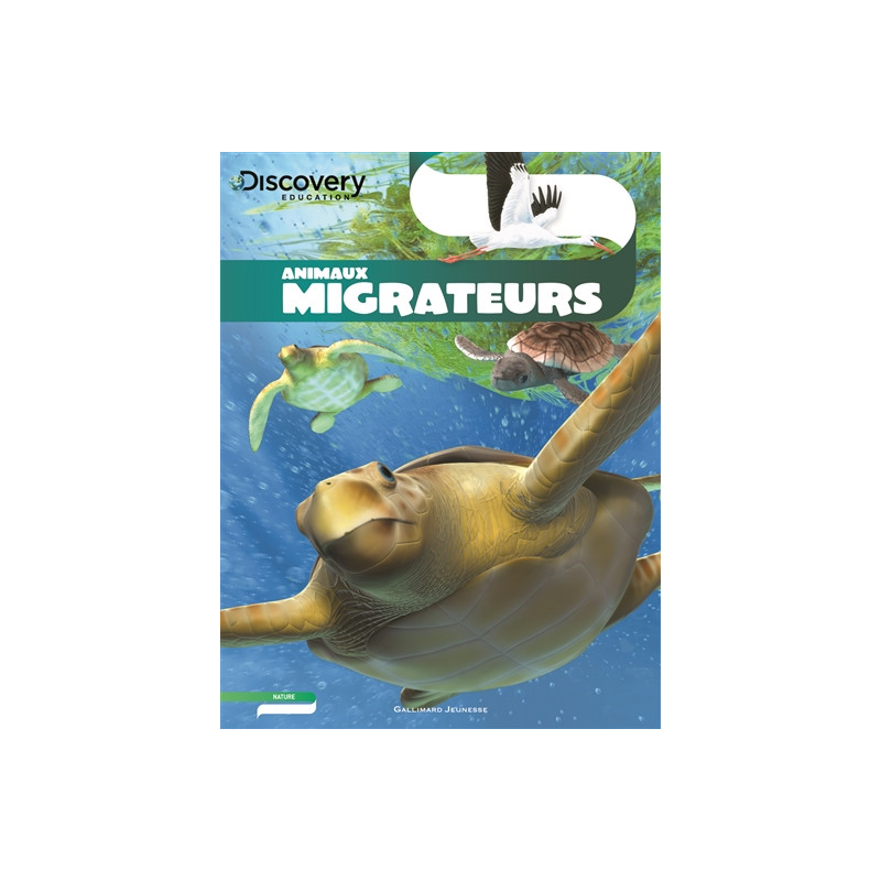 Animaux migrateurs