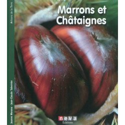 Marrons et châtaignes : renaissance de l'arbre à pain