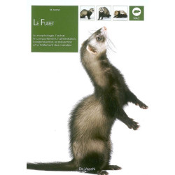 Le furet : la morphologie, l'achat, le comportement, l'alimentation, la reproduction, la prévention et le traitement des maladi