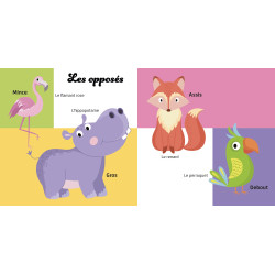 Premières Découvertes : Les opposés et les contraires - 9782754231213