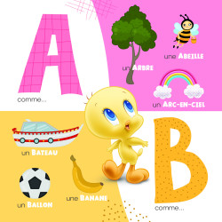 Looney Tunes - Mon premier abécédaire - 9782754231404