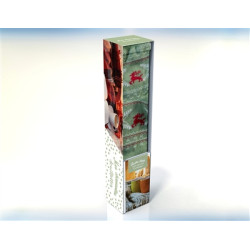 Chaussettes cocooning