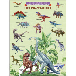 Poster Effaçable - Les dinosaures - 9782754232098
