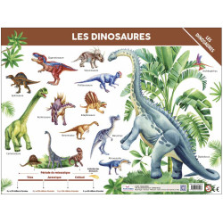 Sous-Main - Les dinosaures - 9782754231923