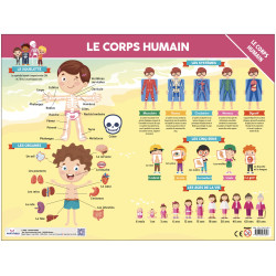 Sous-Main - Le corp humain - 9782754231893