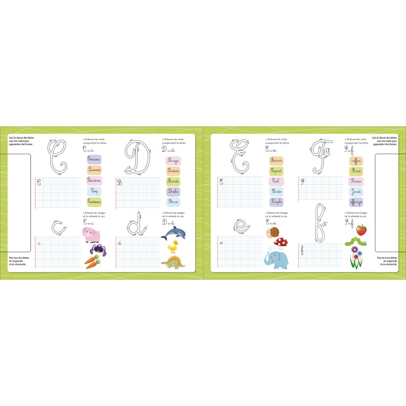 Montessori - Je trace les lettres (avec un feutre effaçable) - 9782754232746