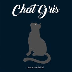 Chat gris - 9782917442630