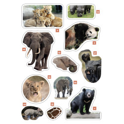 Animaux sauvages - 9782754234467