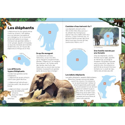 Animaux sauvages - 9782754234467