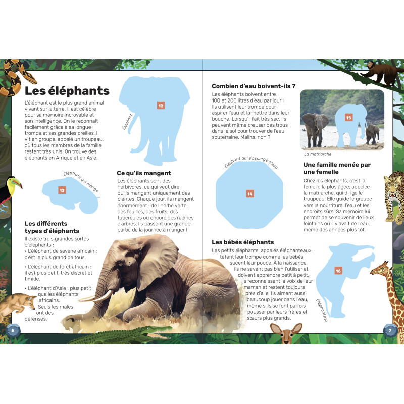 Animaux sauvages - 9782754234467