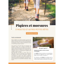 Piqûres et morsures : d'insectes et autres petites bêtes - 9782383553694