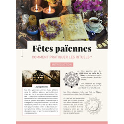 Fêtes païennes : comment pratiquer les rituels ? - 9782383551959
