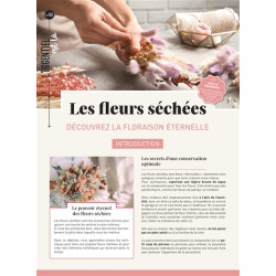 Les fleurs séchées : découvrez la floraison éternelle - 9782383553441