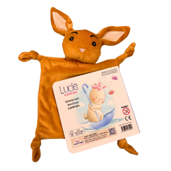 LUCIE la gentille Lapine + doudou - 9782754231299
