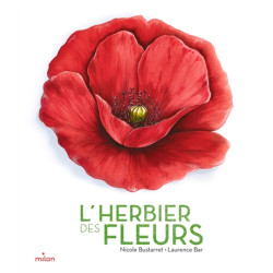 L'herbier des fleurs - 9782408018108