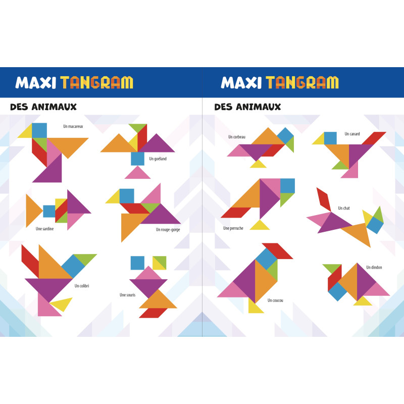 MAXI TANGRAM - 9782754234443