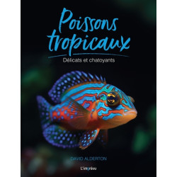 Poissons tropicaux : délicats et chatoyants - 9791029510823
