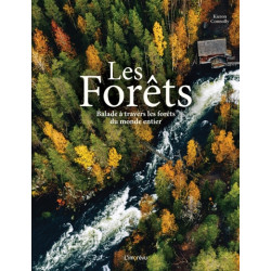 Les forêts : balade à travers les forêts du monde entier - 9791029510816