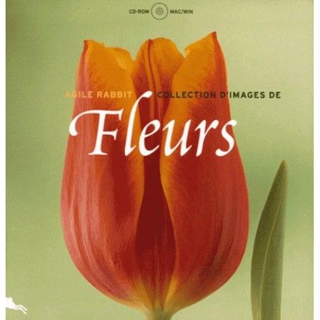 Fleurs